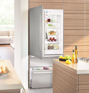 ECBN 6256嵌入式冰箱
