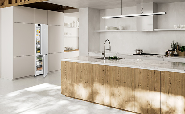 LIEBHERR的新型独立式冰箱CNd5723